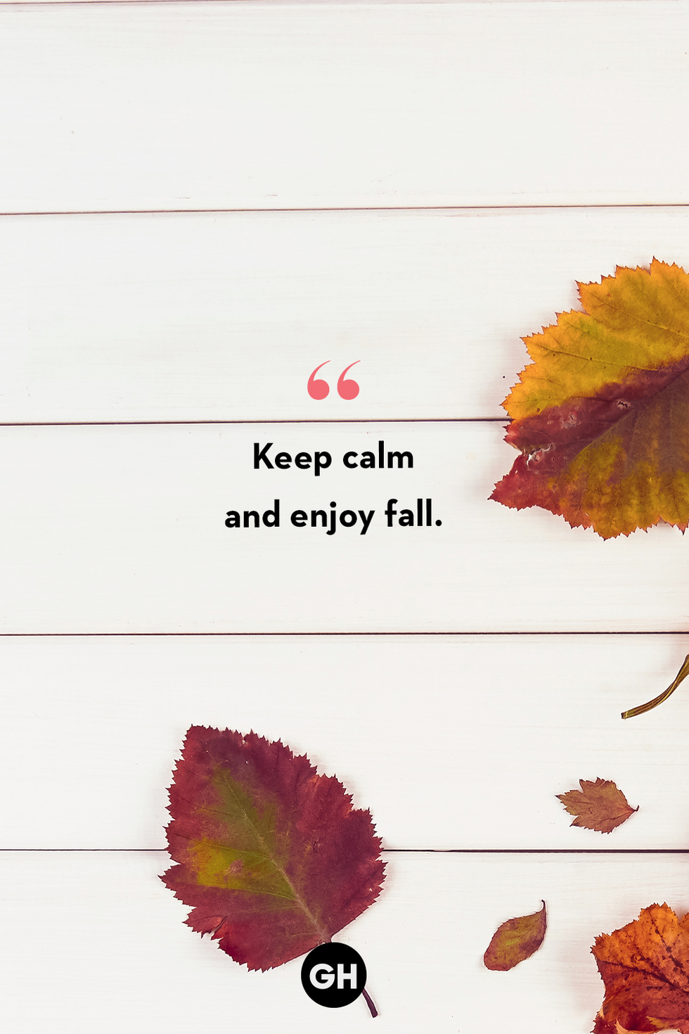 keep calm and enjoy fall