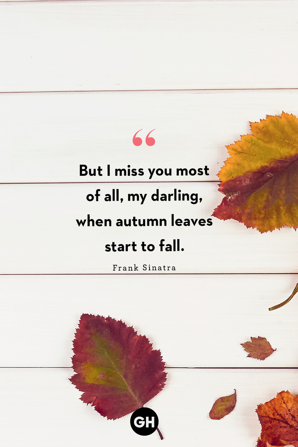 “but i miss you most of all, my darling, when autumn leaves start to fall” —frank sinatra