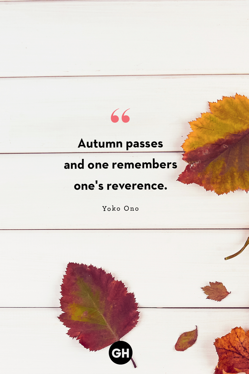 "autumn passes and one remembers one's reverence" —yoko ono