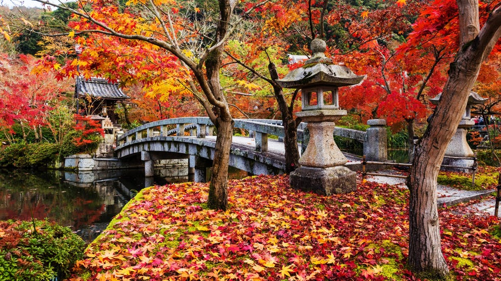 fall colors at eikan do temple, kyoto