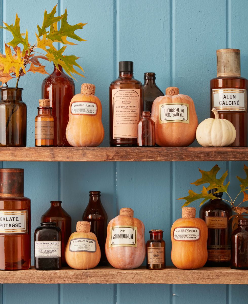 honeynut squash turned into apothecary jars by adding stickers to the front and corks to the top displayed on shelves with actual glass apothecary jars