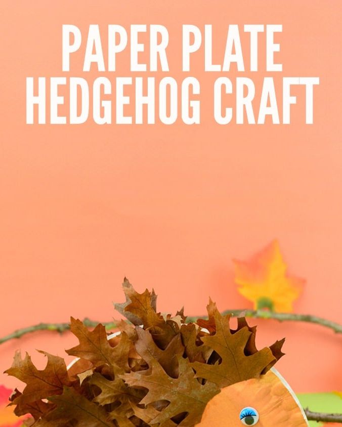 https://hips.hearstapps.com/hmg-prod/images/fall-crafts-for-kids-paper-plate-hedgehog-6470d54b1c419.jpg?crop=0.964xw:0.767xh;0.0207xw,0.233xh&resize=980:*