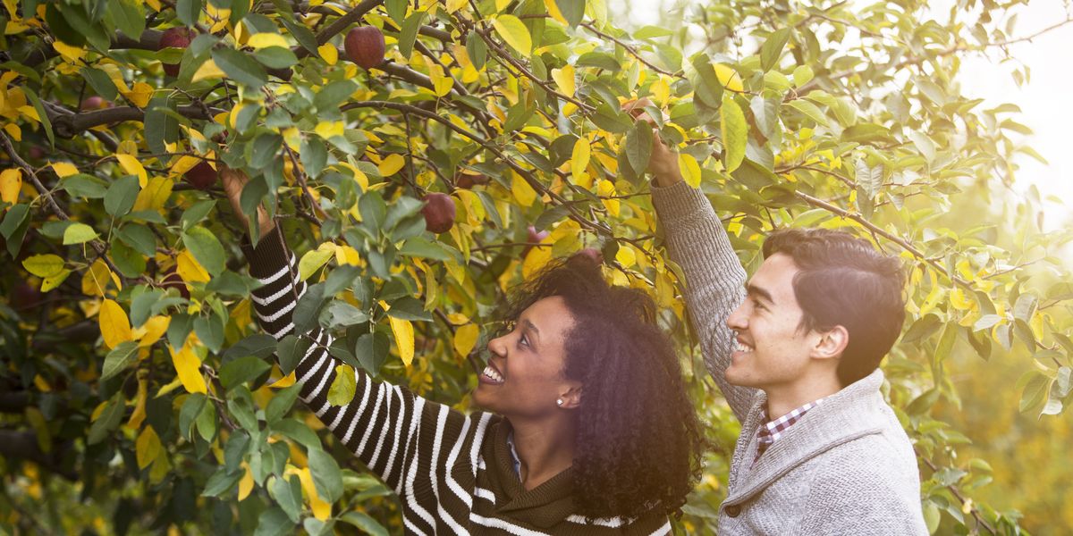 25 Fall Date Ideas - Best Romantic Fall Date Ideas for Couples