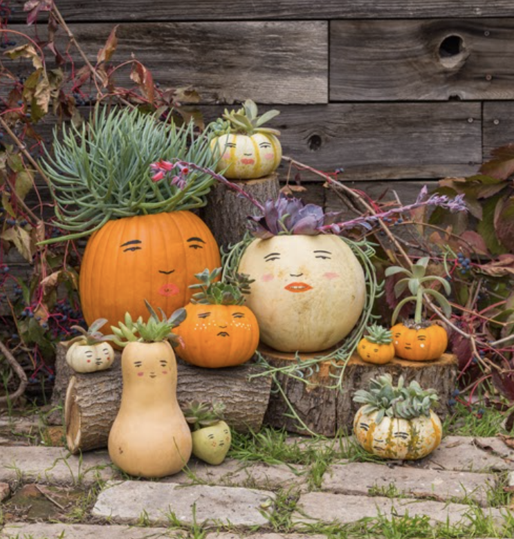 65 Best Fall Decor Ideas You Can Easily DIY in 2024