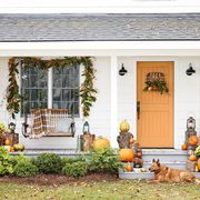 porch decorated for fall with orange door greenery pumpkins and a dog