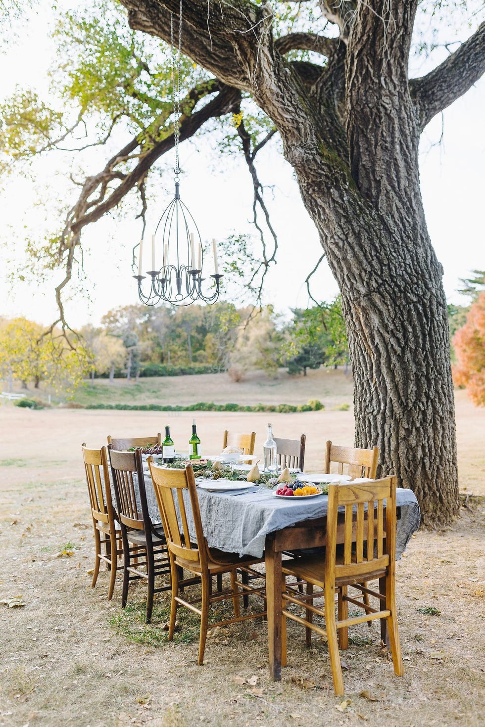 a dining table set up outdoors under a large tree with a light fixture hanging off of it the table has a light blue gray linen table cloth and is set for a meal