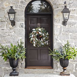 flowerpot, door, wall, home door, house, stone wall, fixture, door handle, street light, arch,