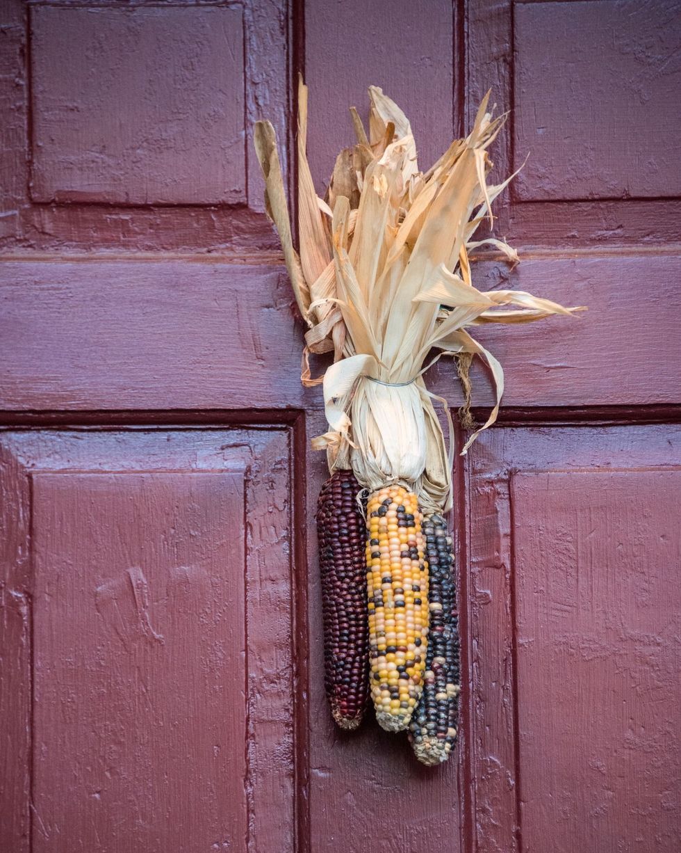 fall door decorations indian corn