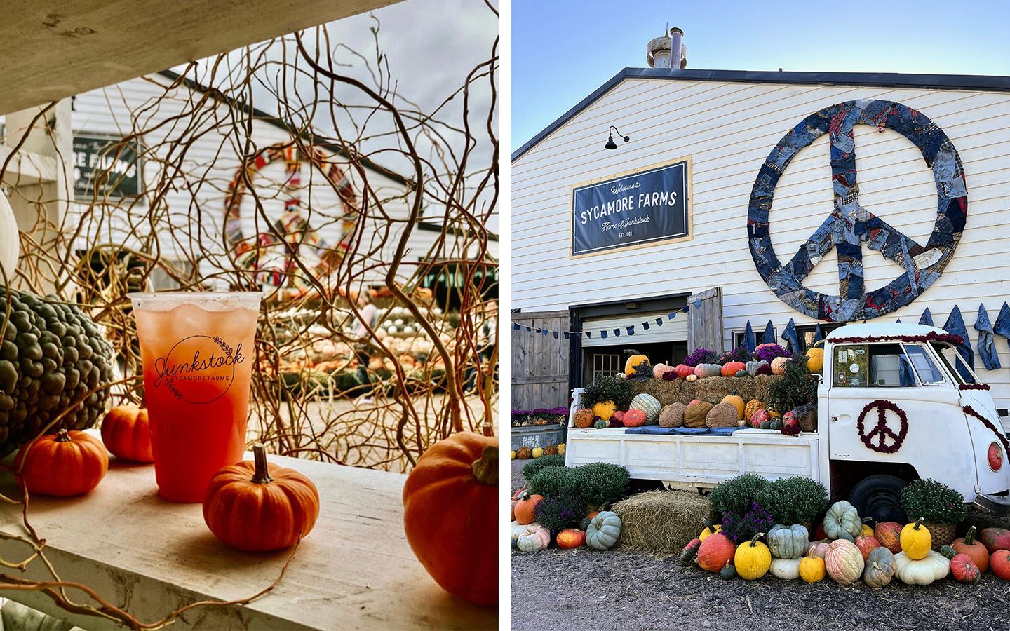 All The Fall Festivals This Weekend In Western New York