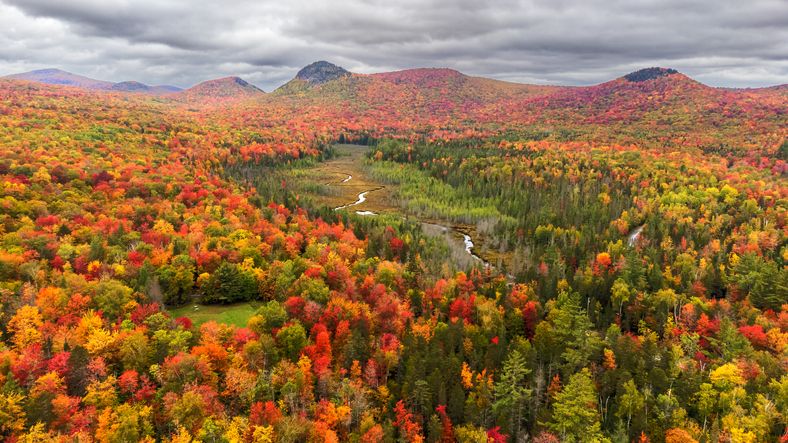 fall foliage at new england,scenic view of mountains against sky during autumn,groton,vermont,united states,usa
