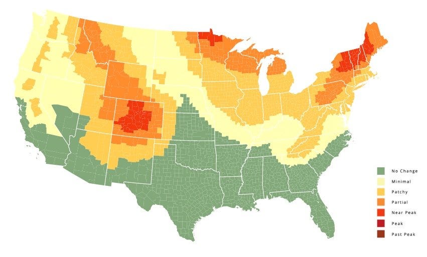 This Fall Foliage Map Predicts When the Leaves Will Change in 2021