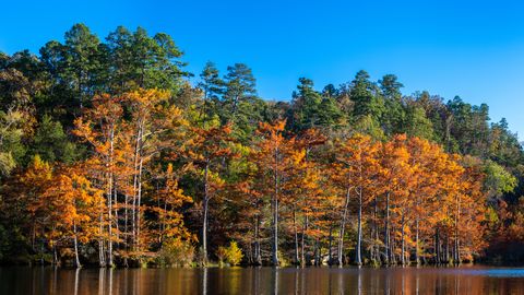preview for 28 Small Towns Across America With Beautiful Fall Foliage