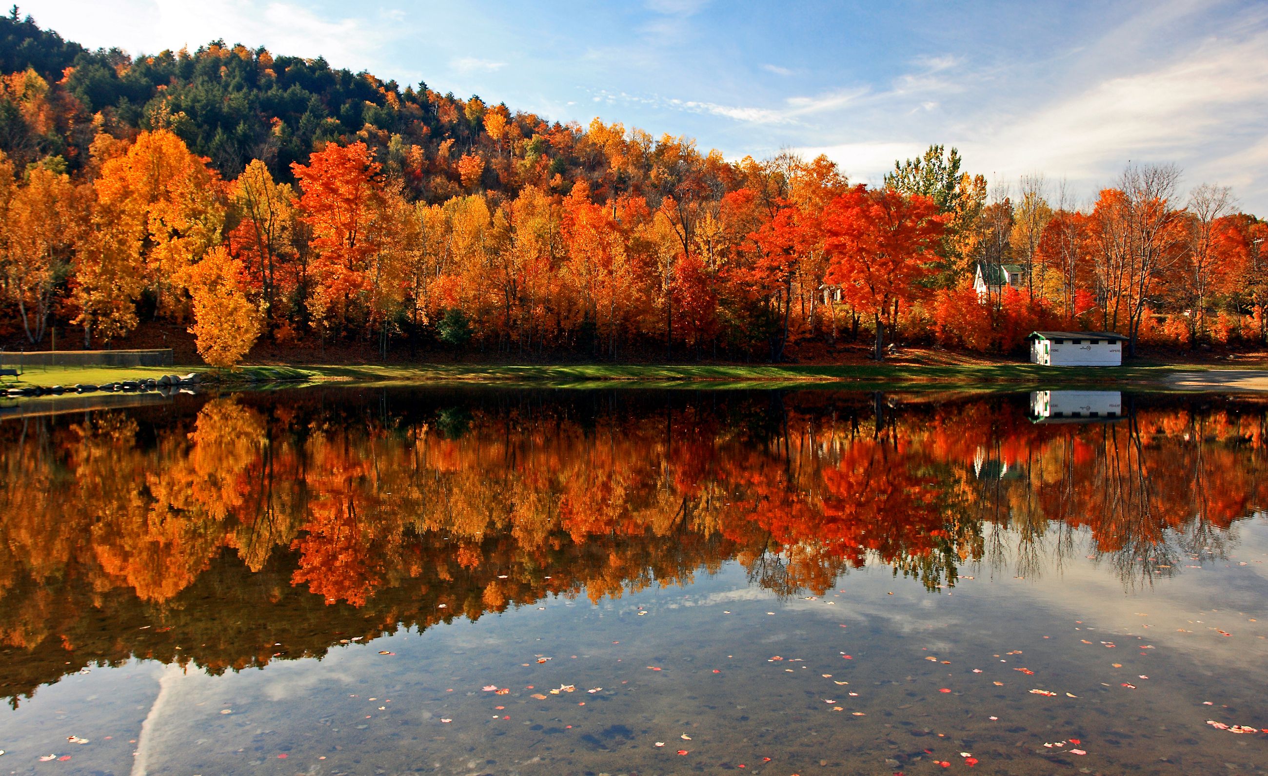 50 Beautiful Fall Foliage Pictures 2023 - Photos of Autumn Leaves
