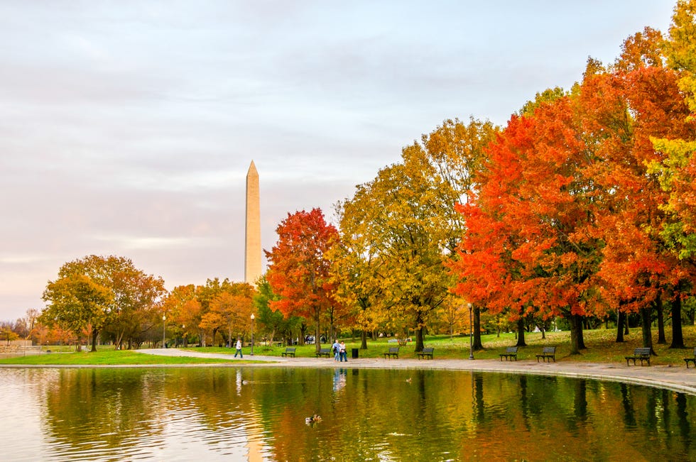 This Fall Foliage Map Shows When the Leaves Will Change in 2023