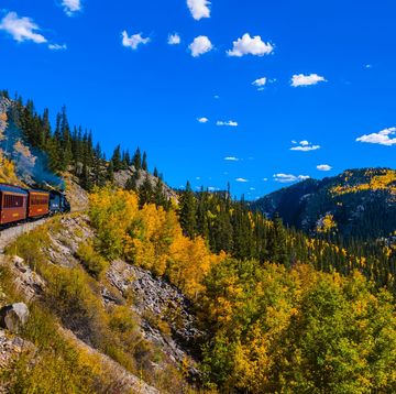 fall foliage train rides - fall leaf peeping train tours