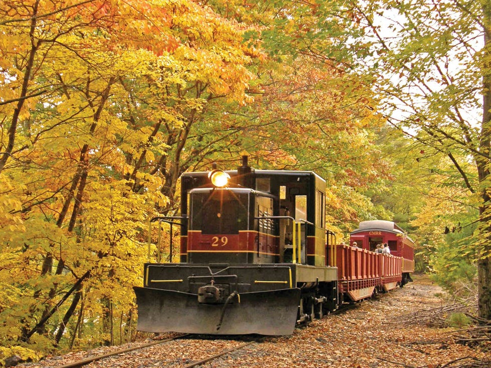 fall foliage train rides catskill mountain railroad