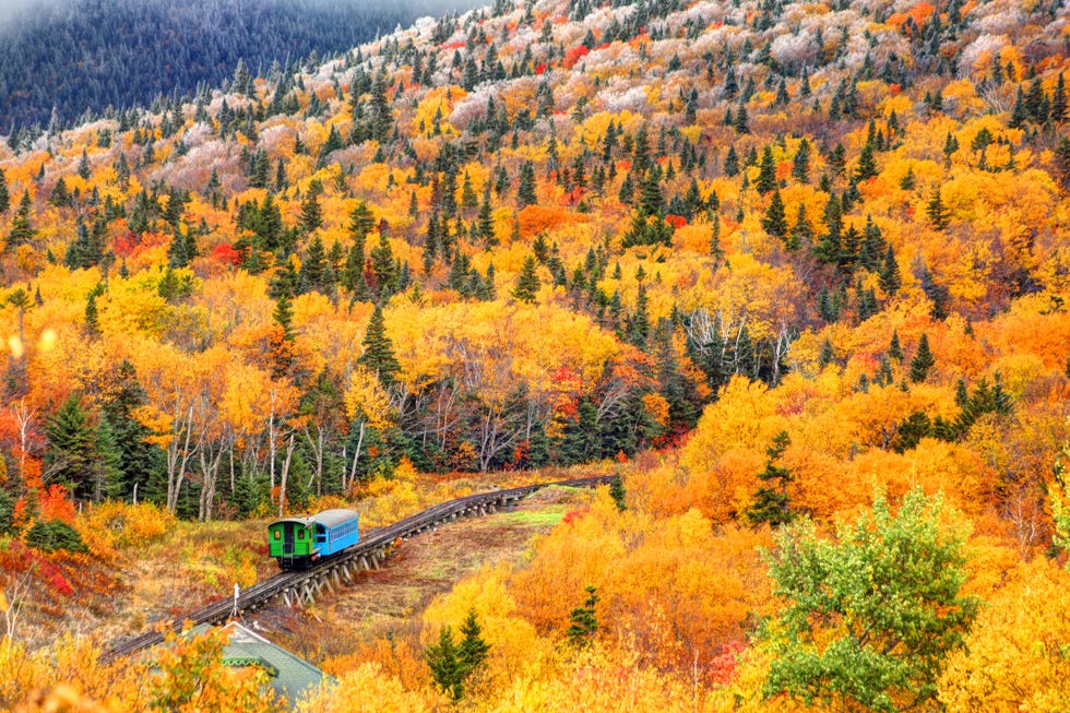 fall foliage train rides mount washington cog railway