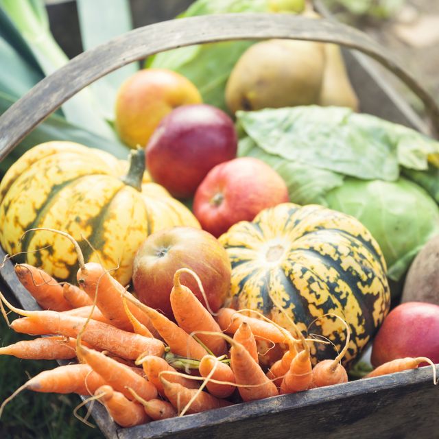 Organic Kitchen Towels - Veggies & Fruit (Color) - Garden Outside The Box