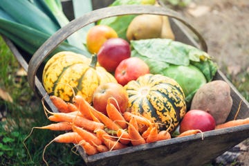 wooden basket full of fresh, organic vegetables