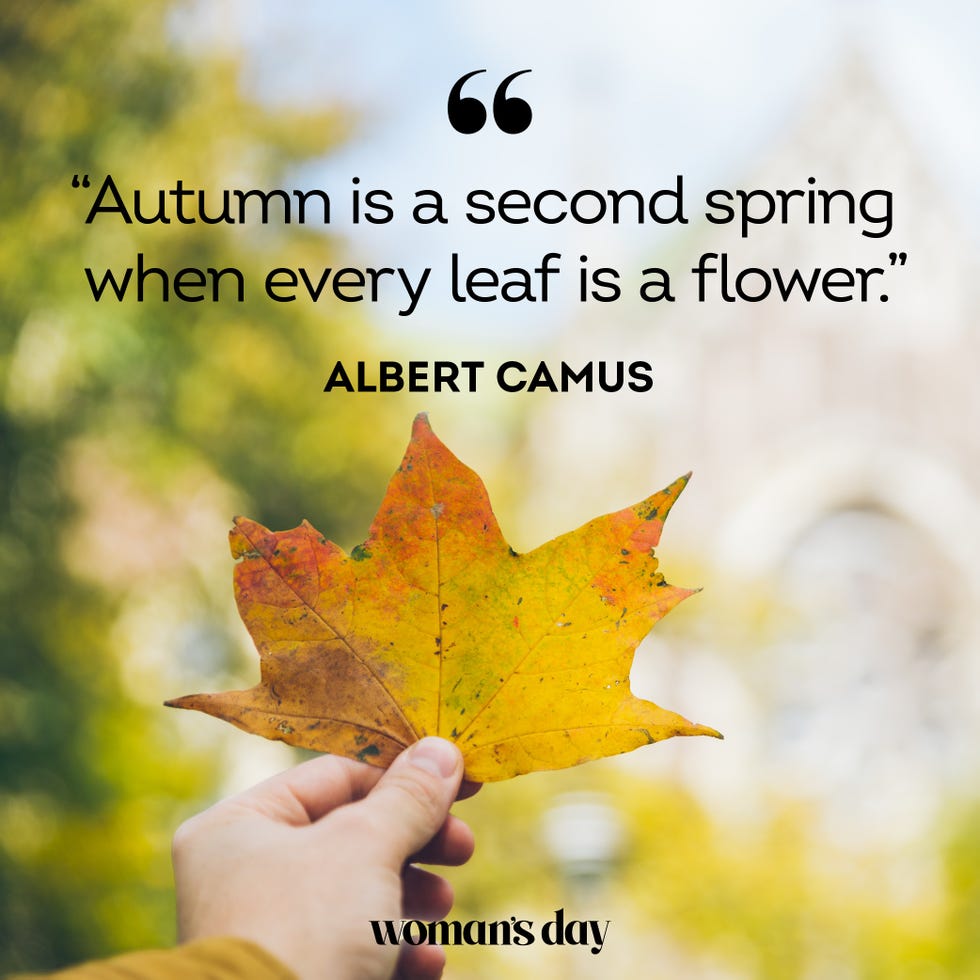 125 Best Fall Instagram Captions — Fall Caption Ideas and Puns