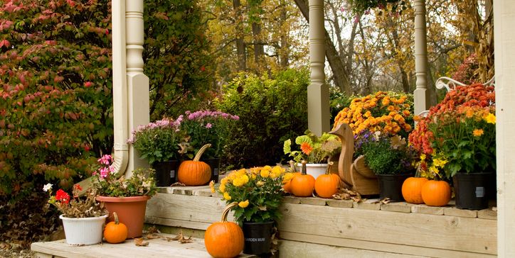mums, pumpkins and fall foliage on front porch