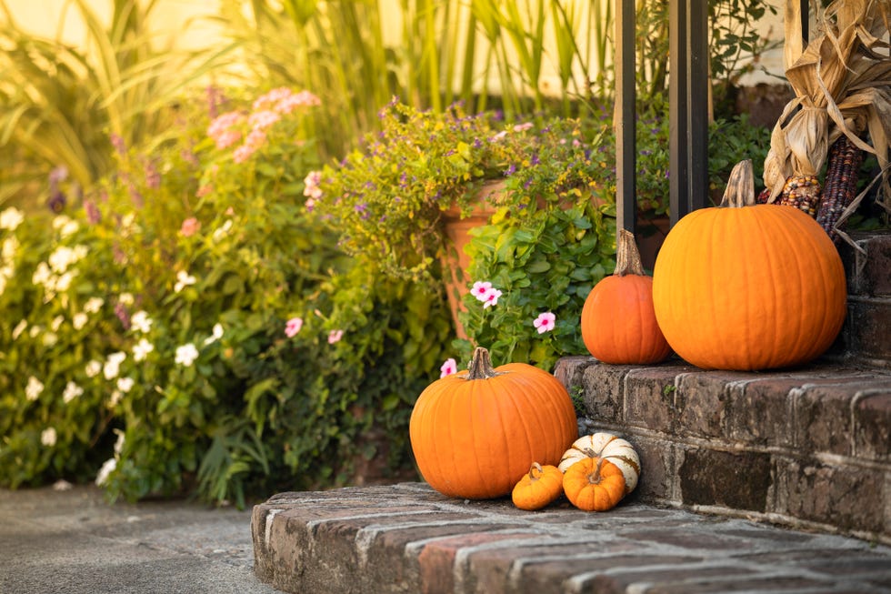 13 Fall Landscape Ideas for Your Autumn Garden