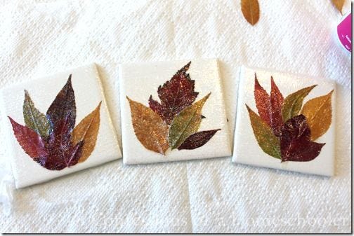 fall leaf coasters