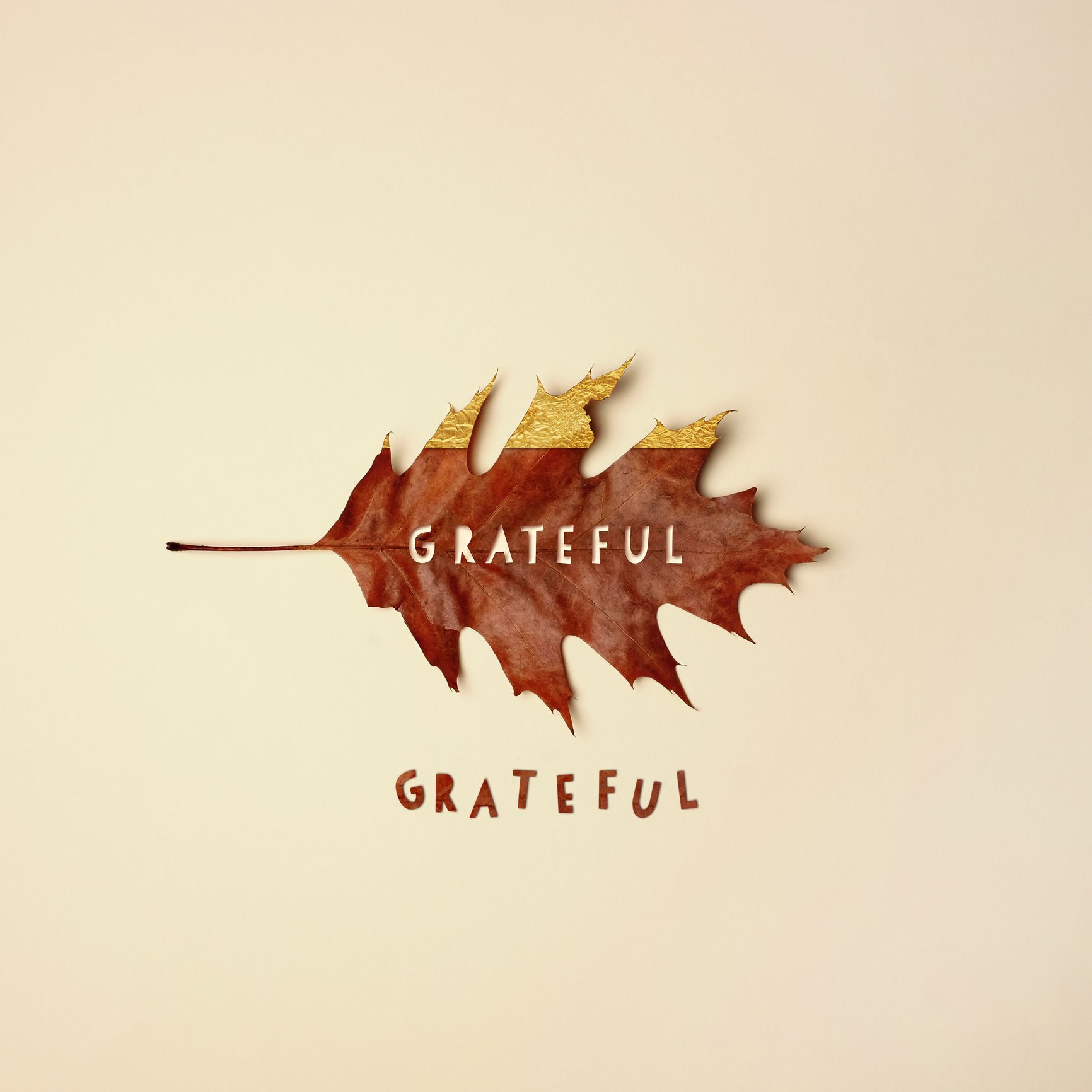 strategi Træde tilbage sorg 100 Gratitude Quotes To Inspire You To Be Thankful In 2023