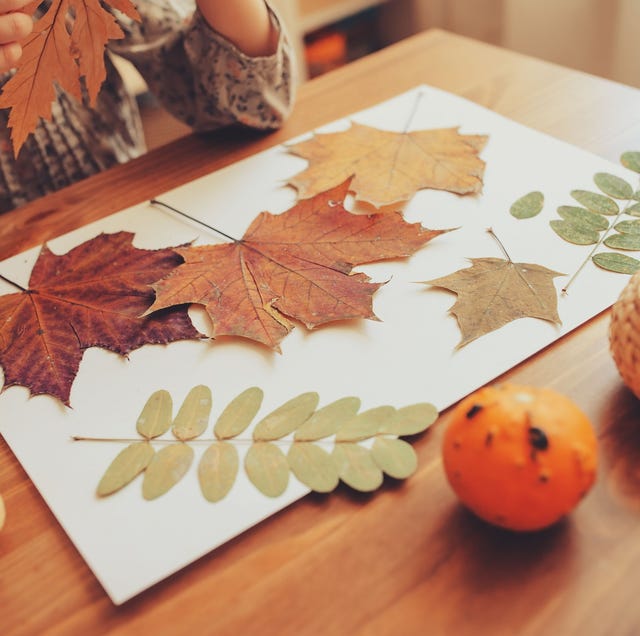 fall leaves craft project