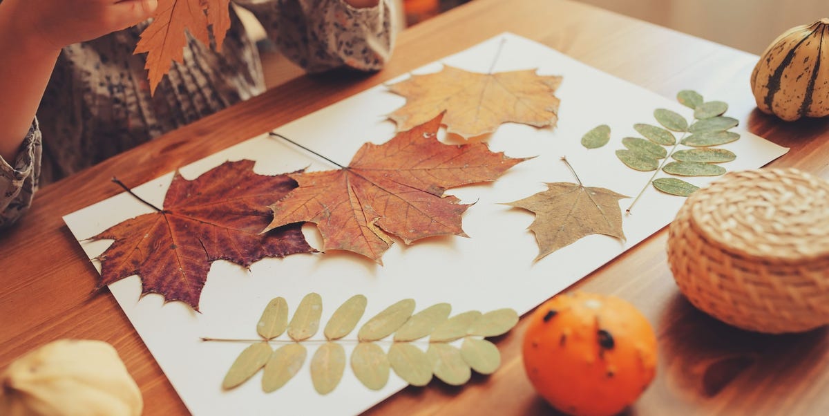 42 Best Autumn Leaf Craft Ideas to Help You Fall Into the Season