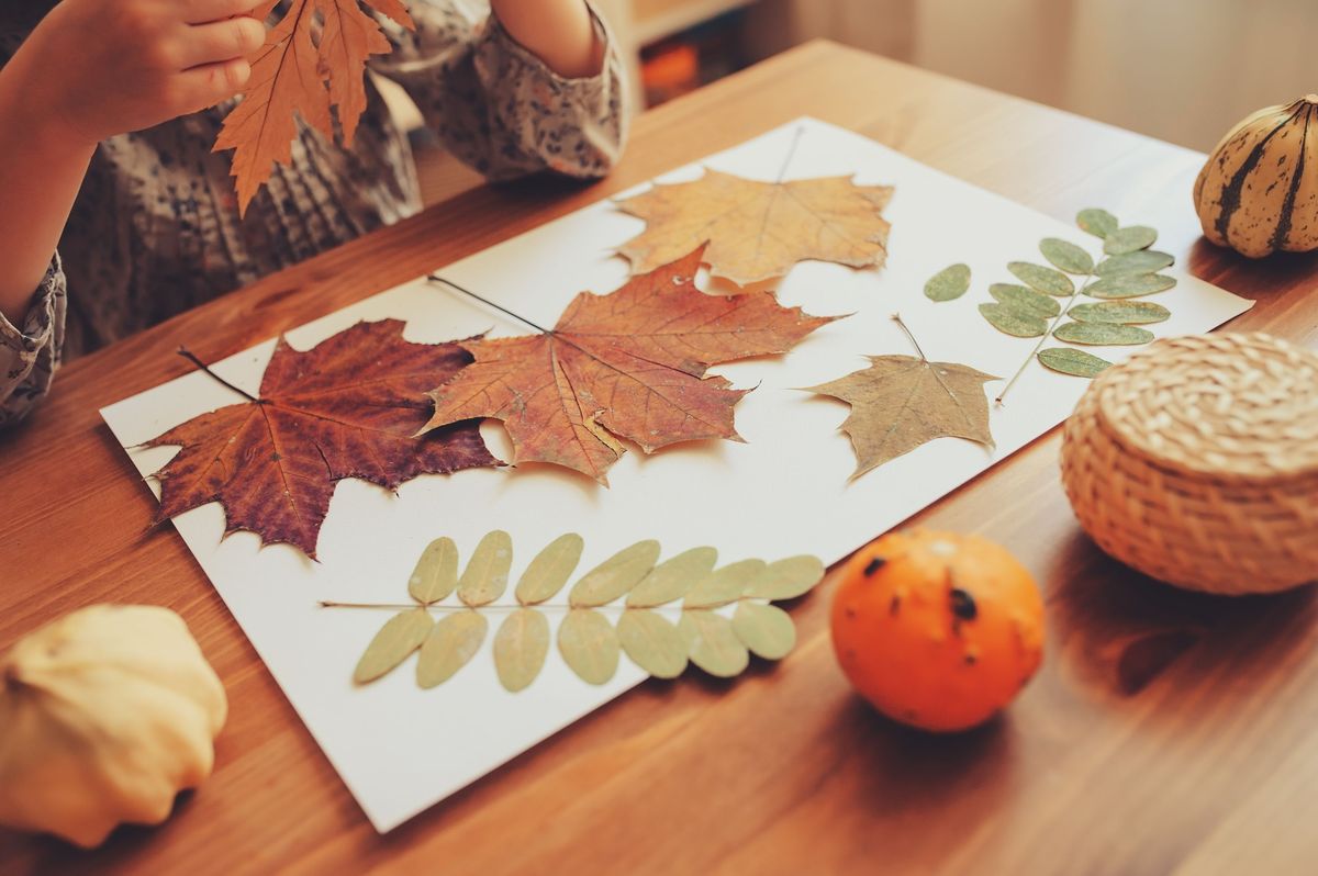 fall leaves craft project