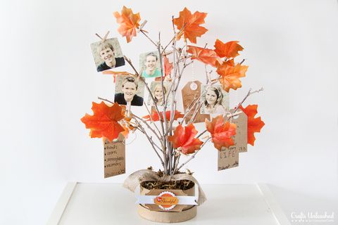 fall picture thankful tree thanksgiving tree ideas