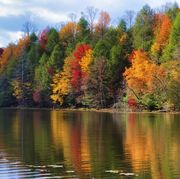 colorful fall colors reflect along the shoreline of bay mountain lake park in kingsport tennessee