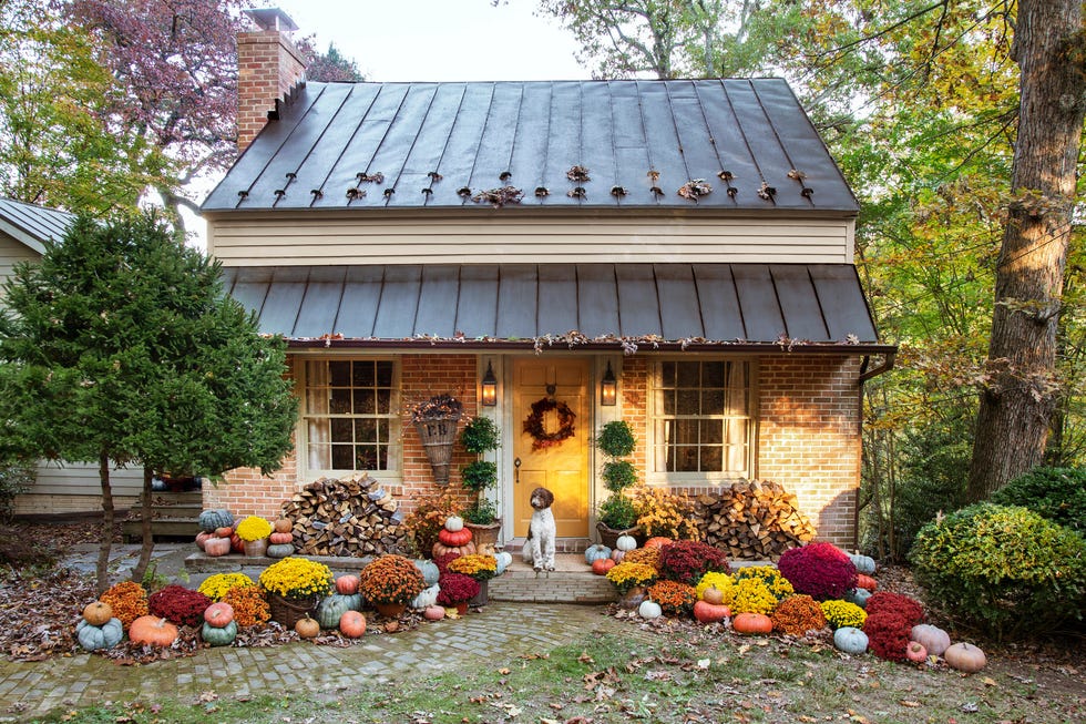 1953 tin roofed cottage belonging to sean whyte and amy whyte virginia’s blue ridge mountains