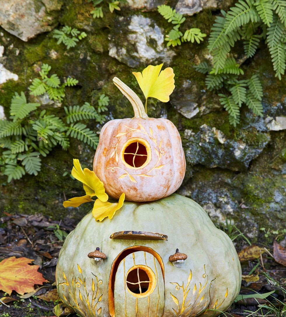 autumn decor, halloween pumpkins, fall, pumpkin gnome home