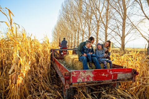a family goes out for a hayride on a clear fall day