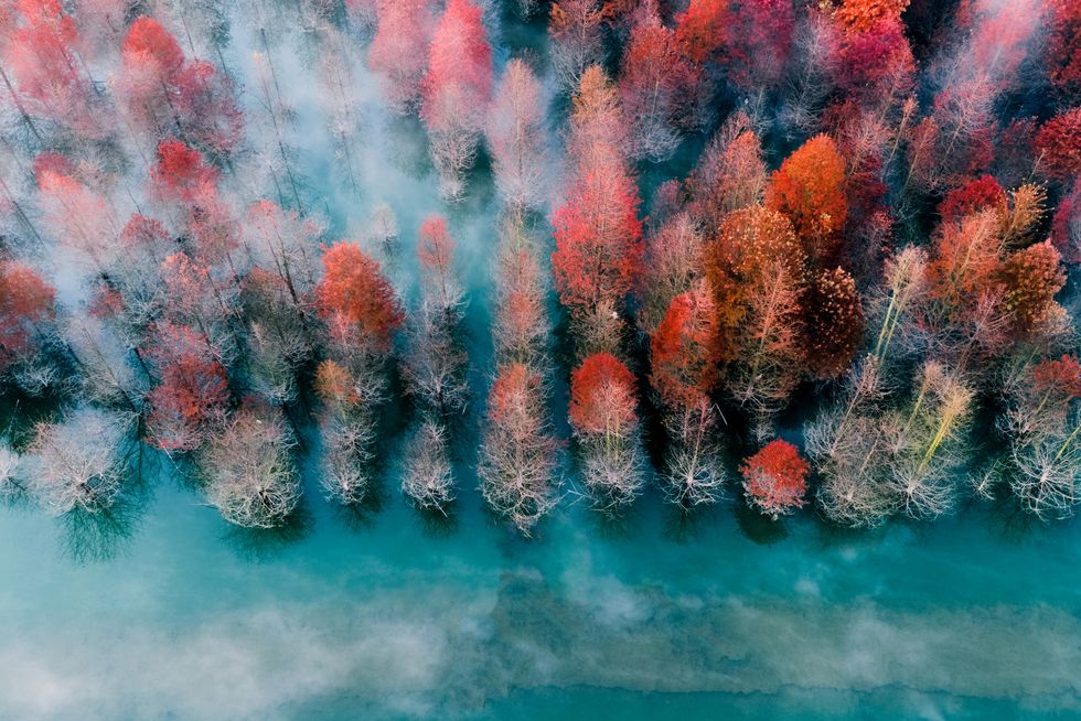 50 Beautiful Fall Pictures from Around the World