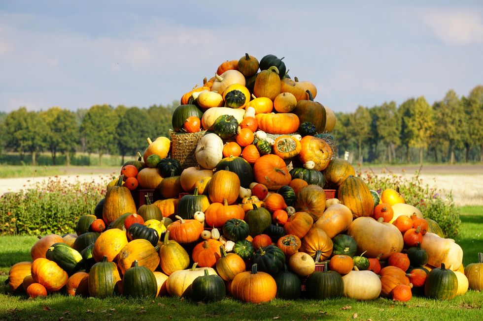 stacked pumpkins on field against sky
