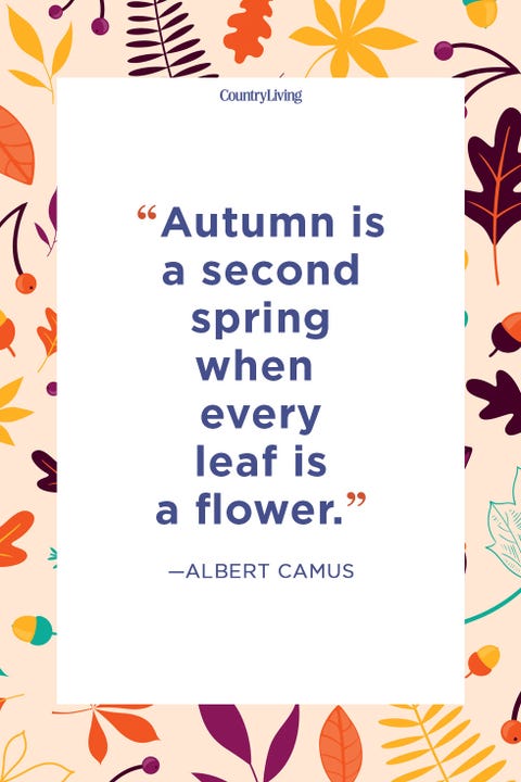 55 Fall Season Quotes - Best Sayings About Autumn