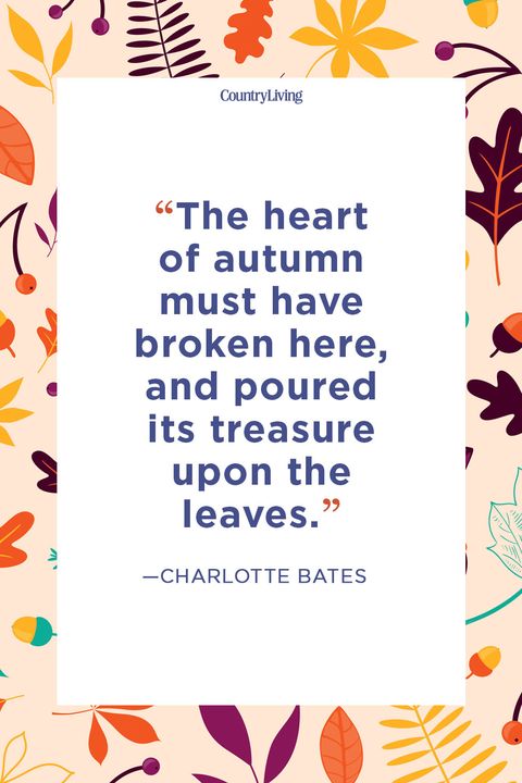 fall quotes charlotte bates