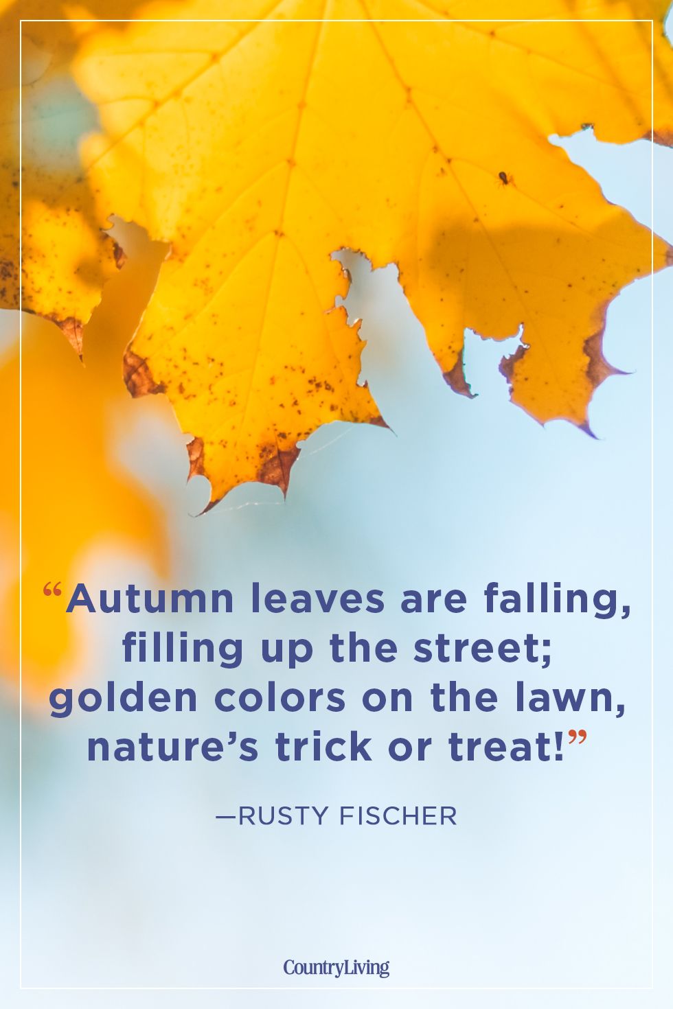 63 Fall Season Quotes - Best Sayings About Autumn