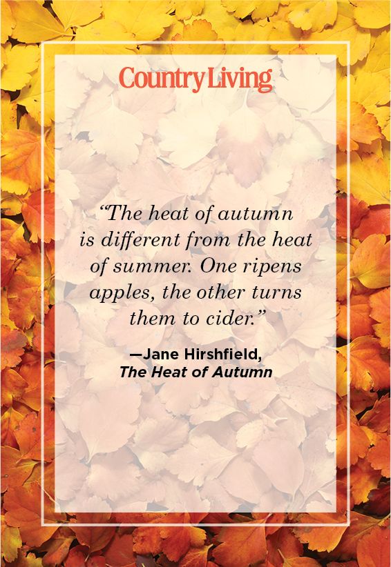 quote from the heat of autumn by jan hirshfield