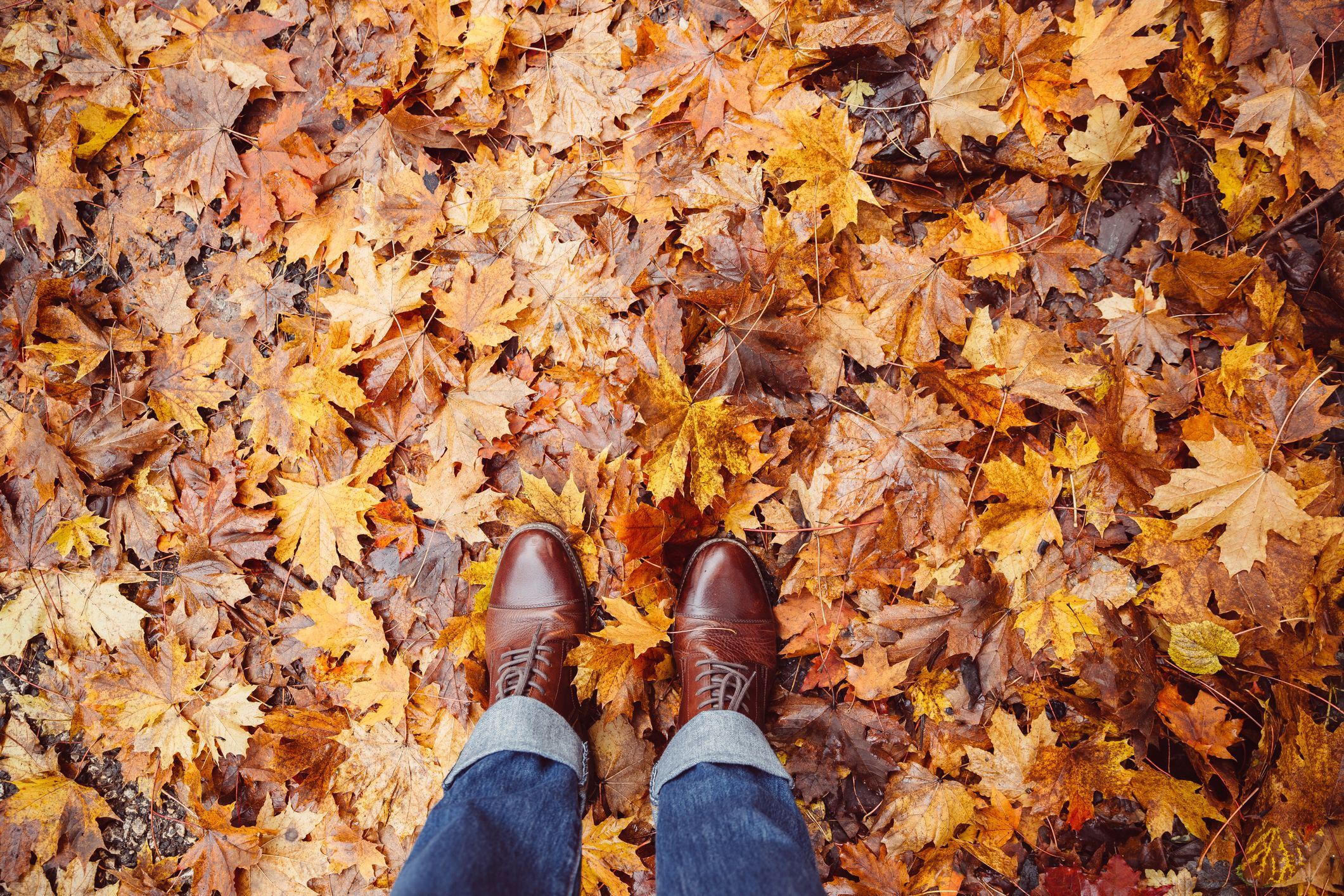 95 Funny Fall Puns for Your Autumn Instagram Posts