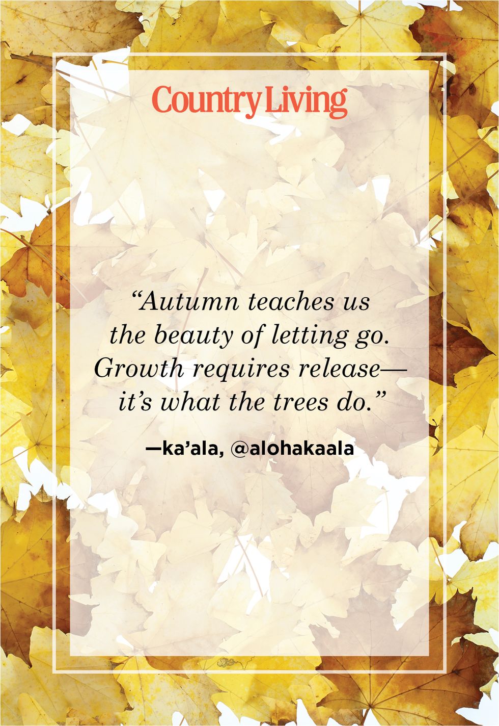 fall quote by poet ka’ala, instagram handle aloha kaala