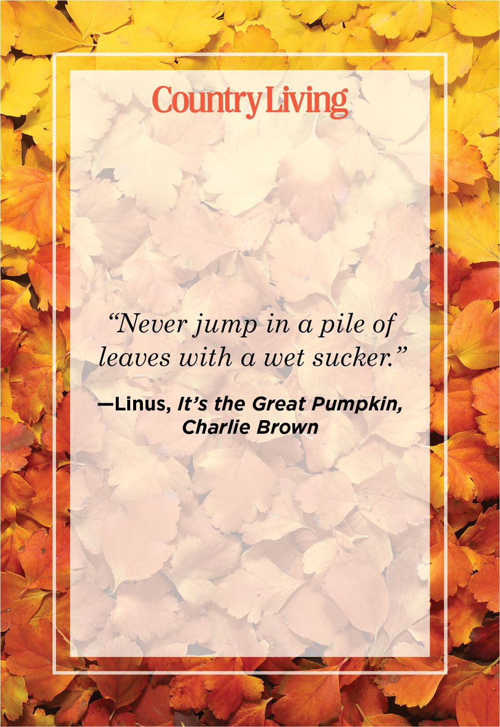 funny fall quote said by the character linus in the tv special it's the great pumpkin, charlie brown