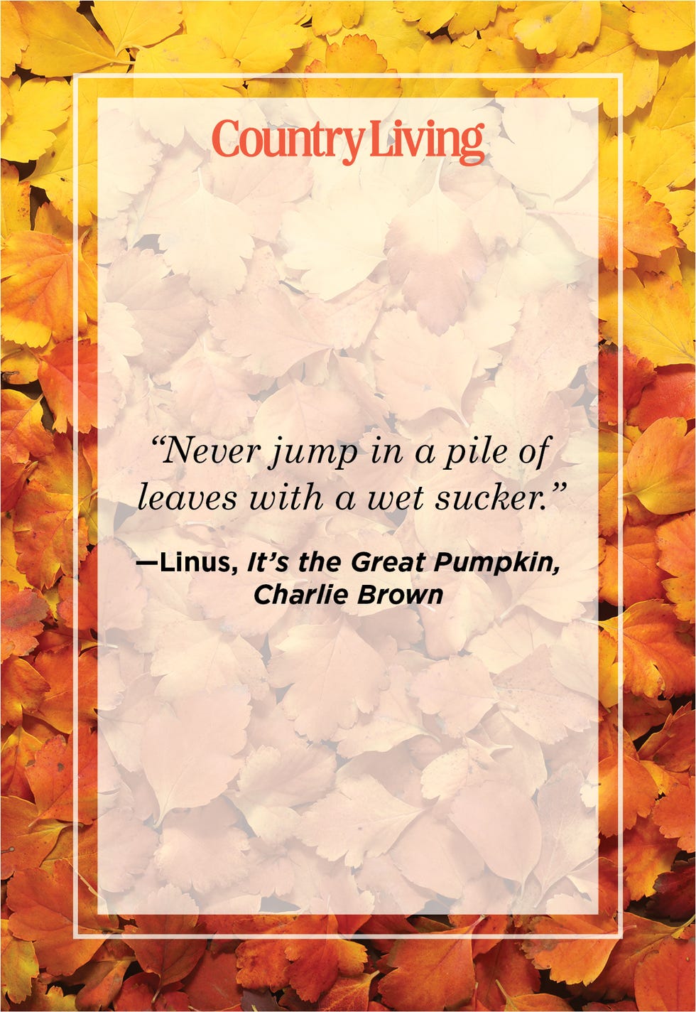 funny fall quote said by the character linus in the tv special it's the great pumpkin, charlie brown