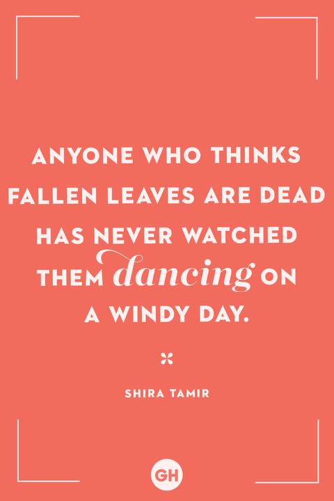 fall quotes shira tamir