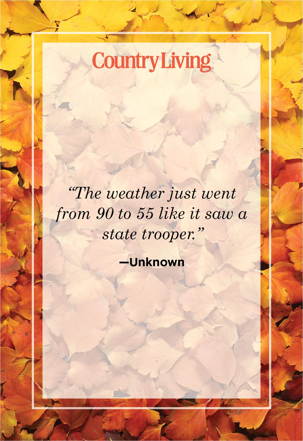 short funny fall quote