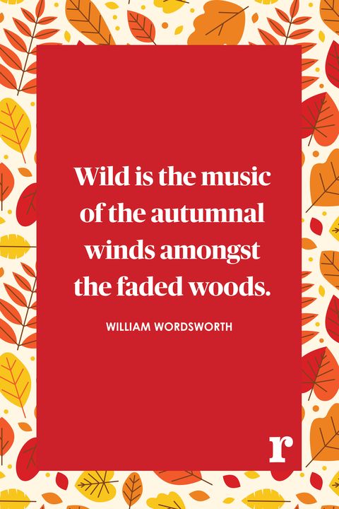 fall quotes 
