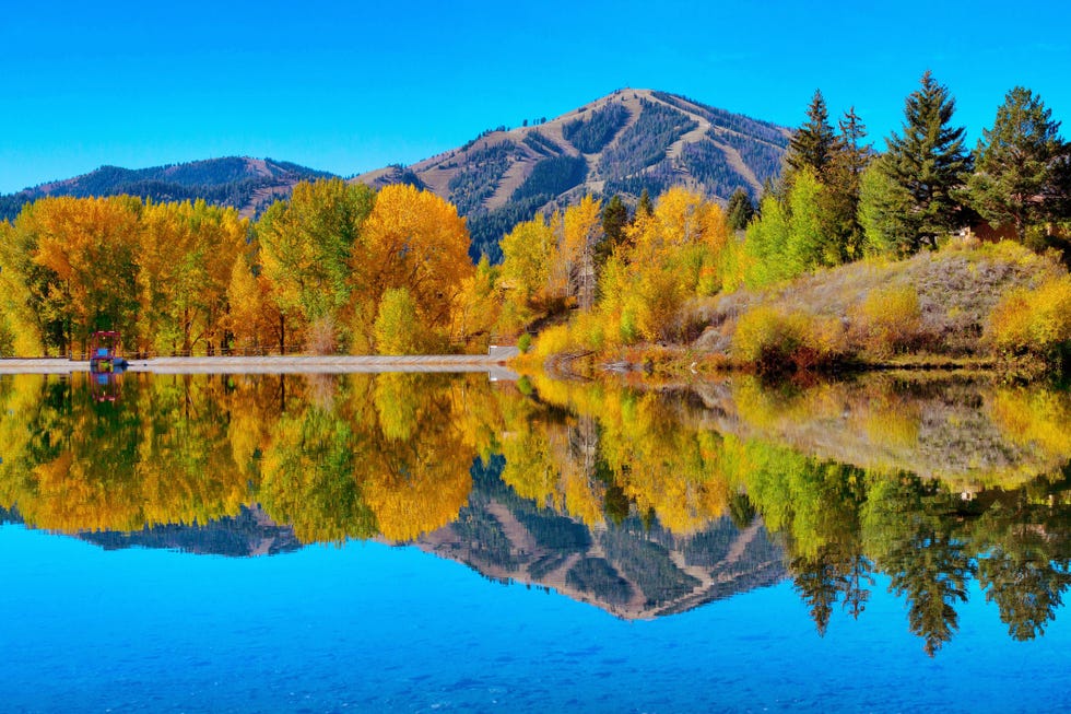 fall reflections  sun valley idaho